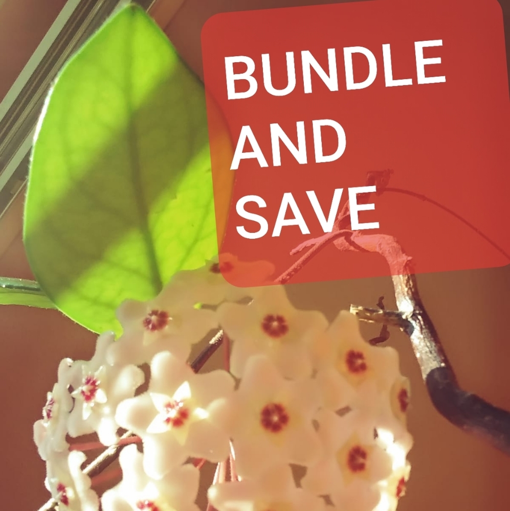 Bundle and save